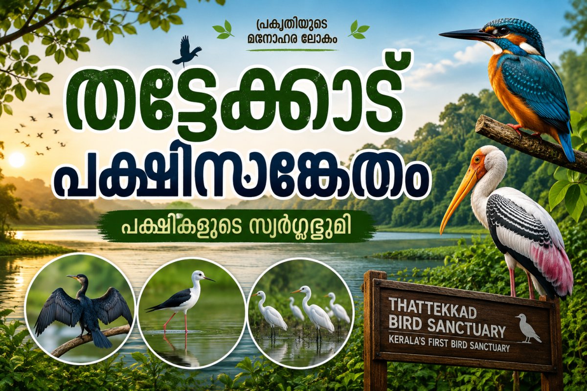 തട്ടേക്കാട് പക്ഷിസങ്കേതം