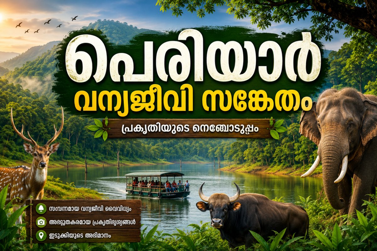 പെരിയാർ വന്യജീവി സങ്കേതം: പ്രകൃതിയുടെ ഒരു അപൂർവ്വ വിസ്മയം