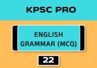 ENGLISH GRAMMAR (MCQ)No.22