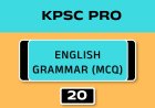 ENGLISH GRAMMAR (MCQ)No.20