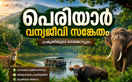 പെരിയാർ വന്യജീവി സങ്കേതം: പ്രകൃതിയുടെ ഒരു അപൂർവ്വ വിസ്മയം